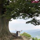 성흥농원 이미지