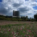 광양커뮤니티센터 이미지