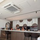 리베르떼 | 양식 다이닝 _ 도곡 리베르떼 점심 코스 후기 [생일 기념 다이닝, 기념일 데이트]