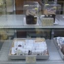 서울 빵지순례- 천호 블랑제리11-17 디저트부터 식사빵까지 솔직 후기