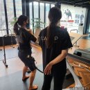 일산PT 연예인들도 한다는 EMS일산 다이어트 후기-라인업