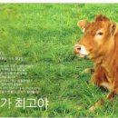 한우가 최고야 이미지