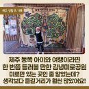 제주 김녕미로공원 아이와 가볼만한곳, 고양이왕국 달라진 후기