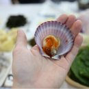 여수소라우체국 | 여수 최고맛집 유명횟집 예전에 갔다온 후기