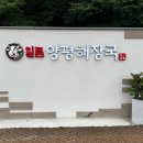 펜션비우고채우는숲 이미지