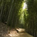 담양숲속가족펜션 이미지