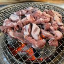 양산갈매기