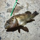 메종펜션 이미지