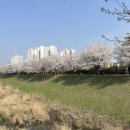 덕수공원 화장실 이미지