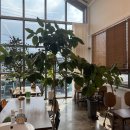 용용농장 이미지