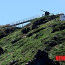 비무장지대 이미지