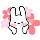 상리한우정육점 이미지