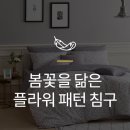 성원침구 이미지