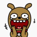 브라운치킨 이미지