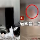 신사동-27 이미지