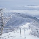 미르여행사 - 동구 매봉로 18 | 미르여행사