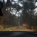 씨유진주파란점 | [겨울 촌캉스 경주 숙소 추천] 경주 석굴암 한옥펜션 죽실 내돈내산 후기