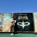 알레그리아 | 태양의 서커스 ‘뉴 알레그리아’ 관람 후기(좌석 위치), 그날의 감동