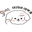 만두네 애견미용실 이미지