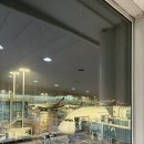 11680-203-1외 | 미국 LA행 OZ204 인천행 OZ203 LA 아시아나항공 후기 기내식 LA입국심사 후기 미국mpc