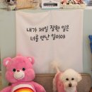 바르개맛있개