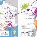 황금의 언덕 부르고뉴 와인 이미지