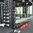 팀스 짐 이미지