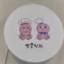 호매실벚꽃음식문화거리 | 영암 독천낙지 맛집 벚꽃낙지 | 왕인문화축제 벚꽃 보고 연포탕·낙지볶음 먹은 솔직 후기