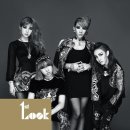 2NE1 카카오 검색결과