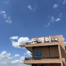 단양수도지사 2층 | 단양 도깨비 카페 분좋카 아이랑 반려동물 가기 좋은 가볼만 한 곳!