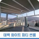 하얀디자인 이미지