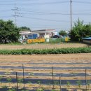 SK향남주유소 이미지