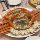 대영민물고기 이미지