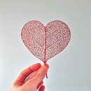 명지인공인중개사사무소 이미지