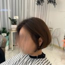 BOBOS | 깔끔한 변신 성공! 청주미용실 SALONG BOBOS 단발 후기