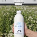 보림목장 이미지