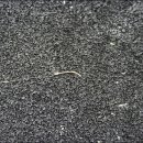 수동그린낚시터 이미지