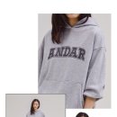 다르 이미지