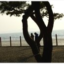 동막해수욕장과 장화리 해변 이미지