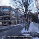 부경약국 네이버블로그