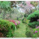 천사의아침꽃농원