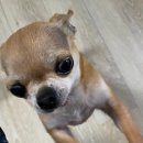 피자나라치킨공주김포 이미지