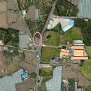 안녕 조수리 이미지