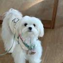 홍일반점 이미지