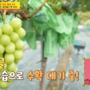 정영호농장 이미지