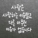 사랑은 사랑하는 이유 이미지