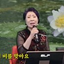 오늘밤 모정애 가수님 유튜브 실시간 방송에 많은 참여를 바랍니다 이미지