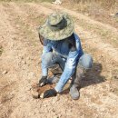 최성용농장 이미지