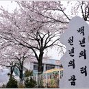 이원초등학교 이미지