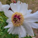 모텔청화 이미지